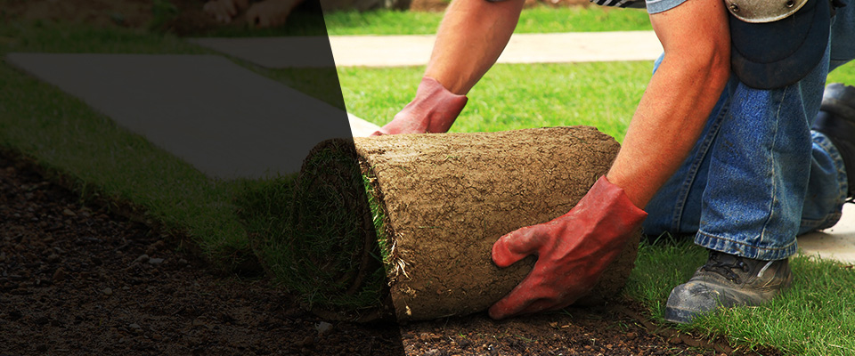 Waterford Works Landscapers